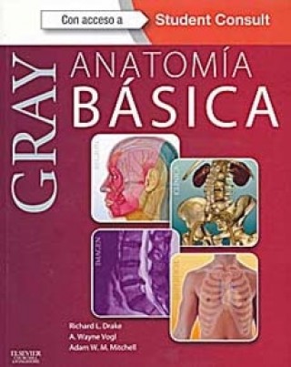 Gray Anatomia Basica. Con Student Consult