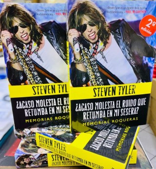Steven Tyler: Acaso Molesta el Ruido que Retumba en mi Sesera?
